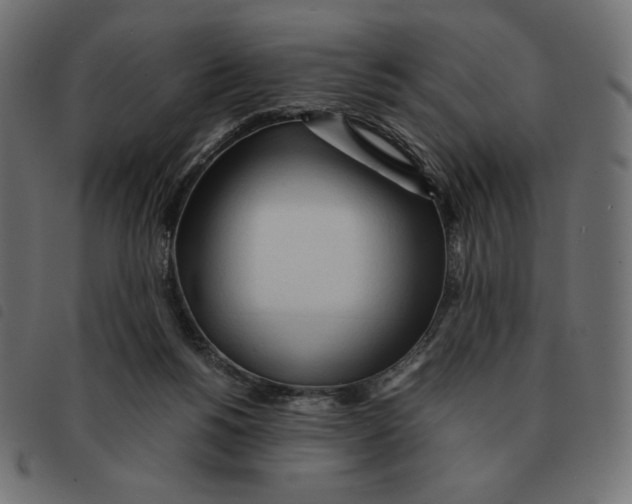 X0000092330168200710121541