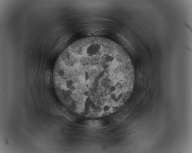X0000092330169200710121541