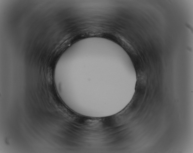 X0000092330170200710121541