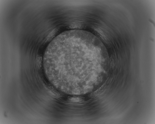 X0000092330171200710121541