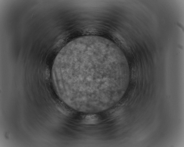 X0000092330173200710121541