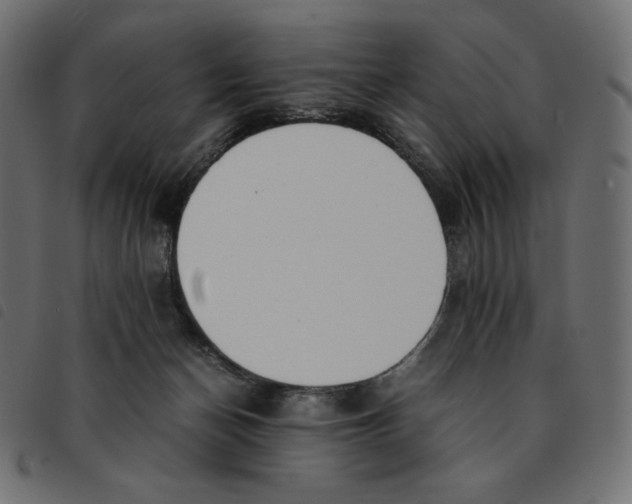 X0000092330174200710121541