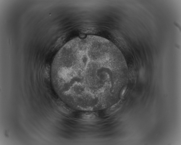 X0000092330175200710121541