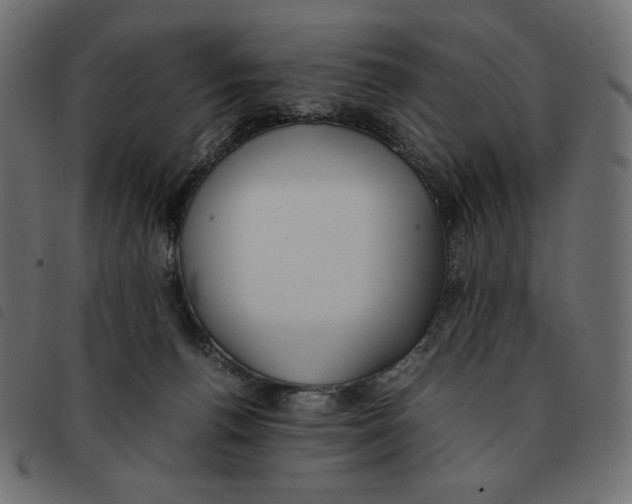 X0000092330176200710121541
