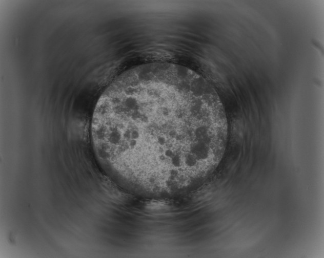 X0000092330177200710121541