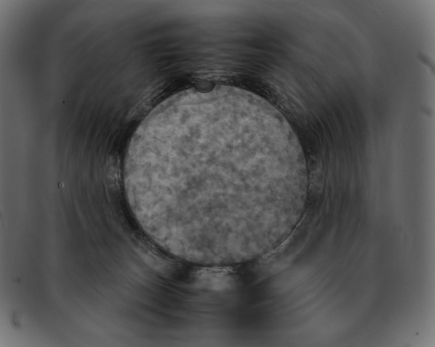 X0000092330179200710121541