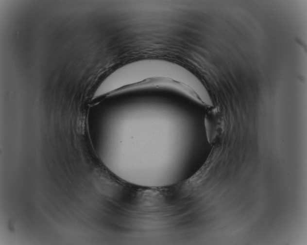 X0000092330180200710121541