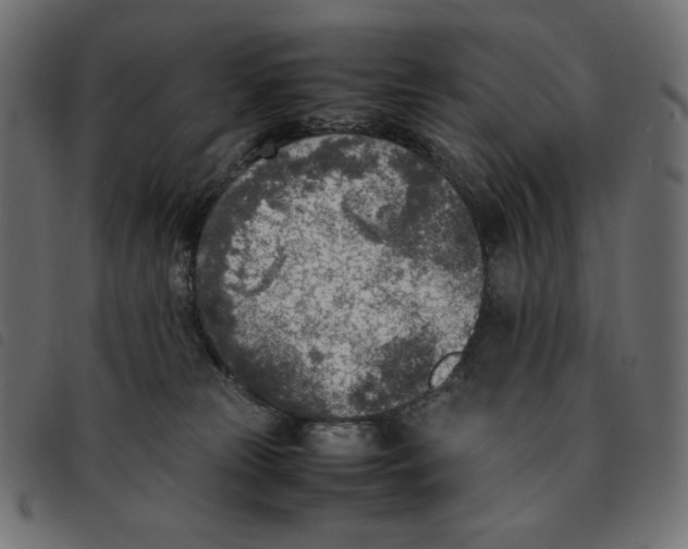 X0000092330181200710121541