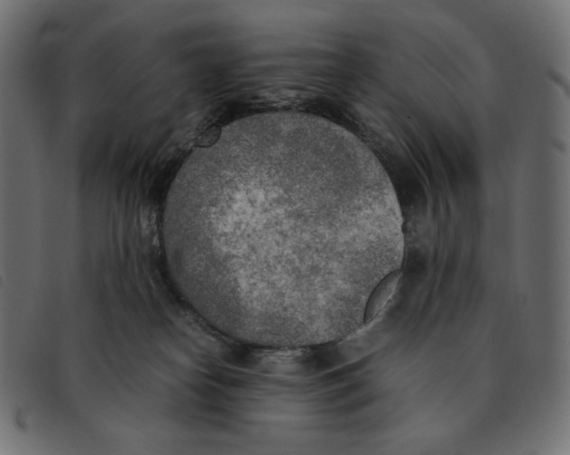 X0000092330182200710121541