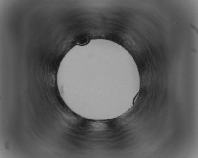 X0000092330183200710121541