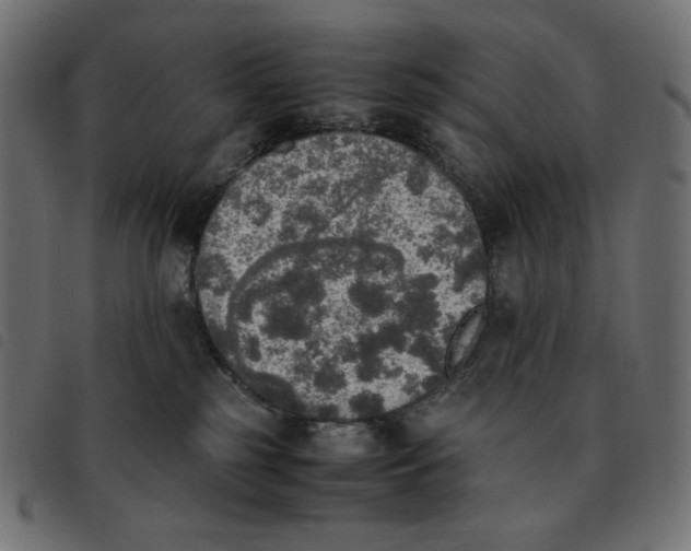 X0000092330185200710121541