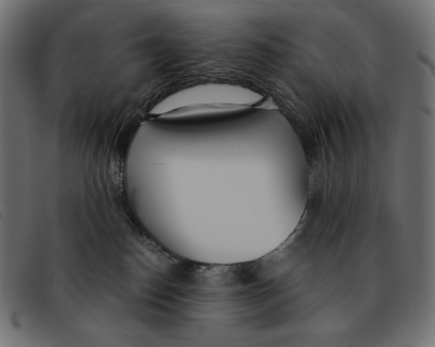 X0000092330186200710121541