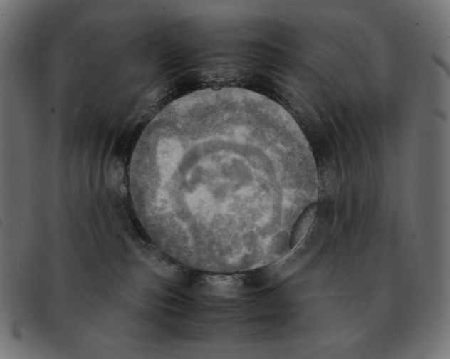 X0000092330187200710121541