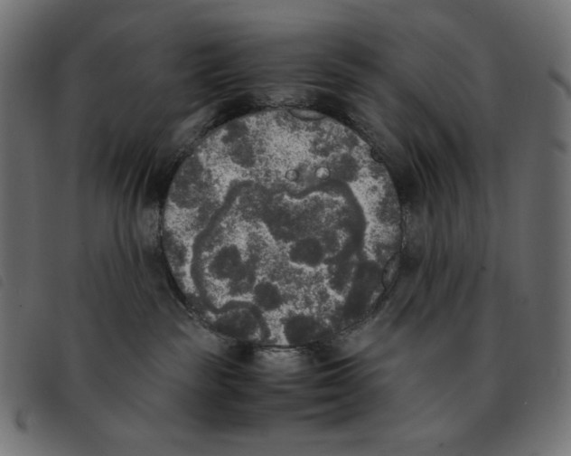 X0000092330189200710121541