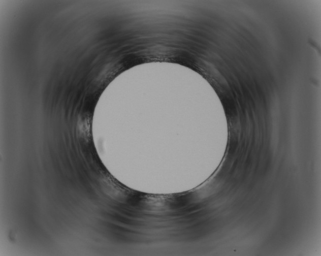 X0000092330190200710121541