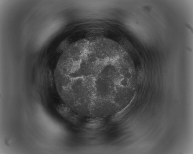 X0000092330191200710121542