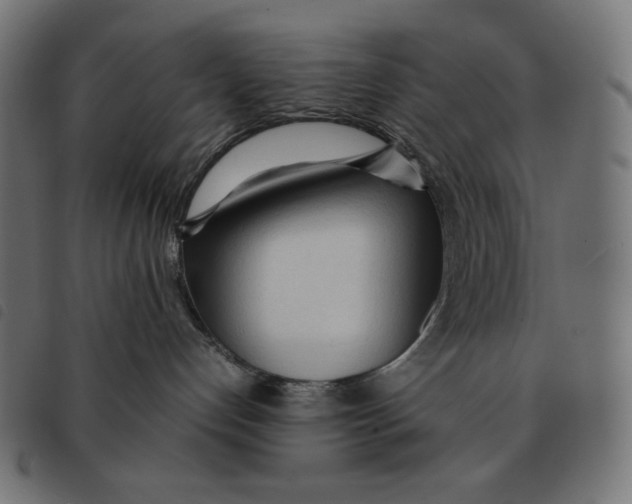 X0000092330192200710121542