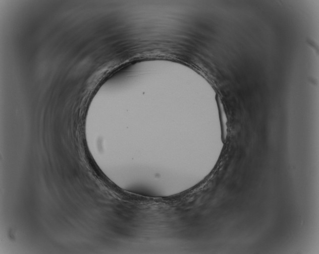 X0000092330193200710121541