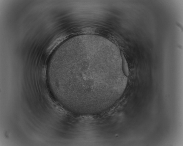 X0000092330194200710121541