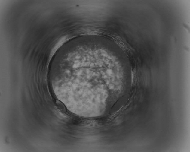 X0000092330195200710121541