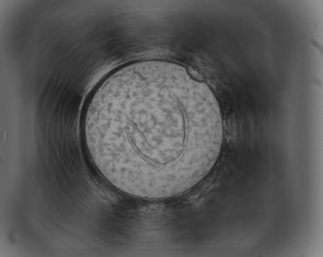 X0000092330196200710121541