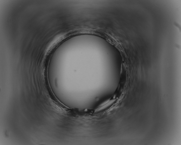 X0000092330197200710121541