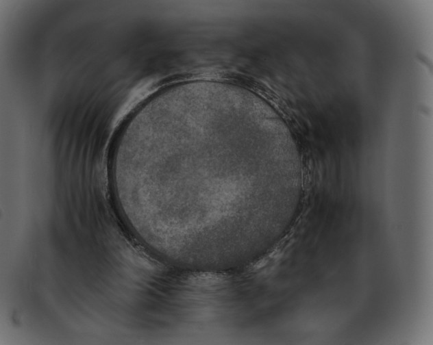 X0000092330198200710121541