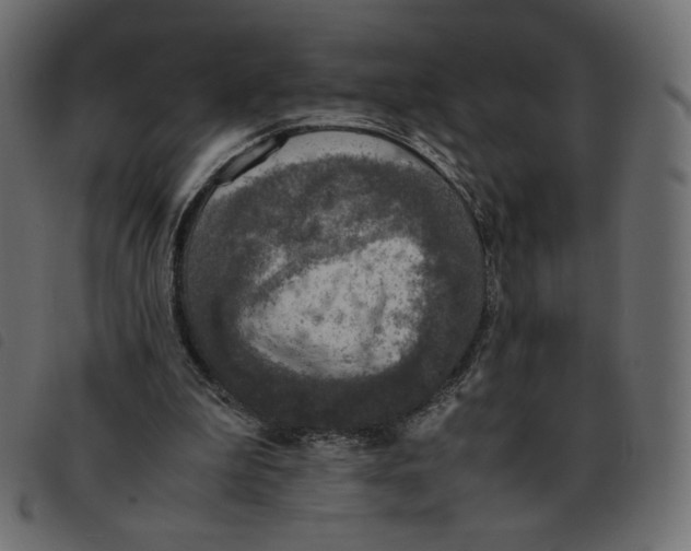 X0000092330199200710121541