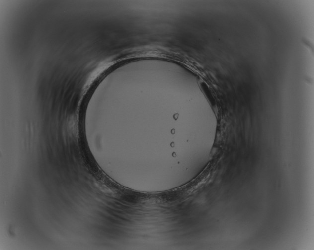 X0000092330200200710121541