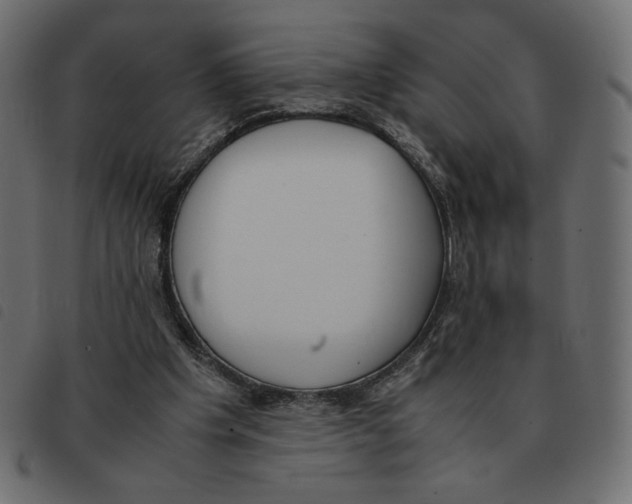X0000092330201200710121541