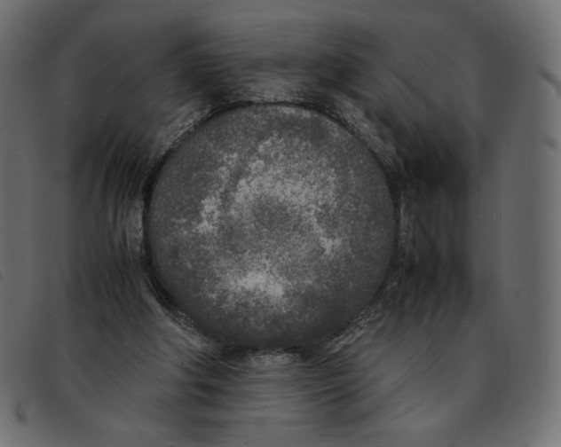 X0000092330202200710121541