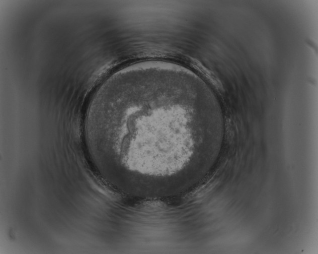 X0000092330203200710121541