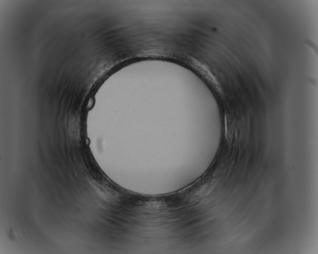 X0000092330204200710121541