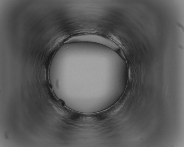 X0000092330205200710121541