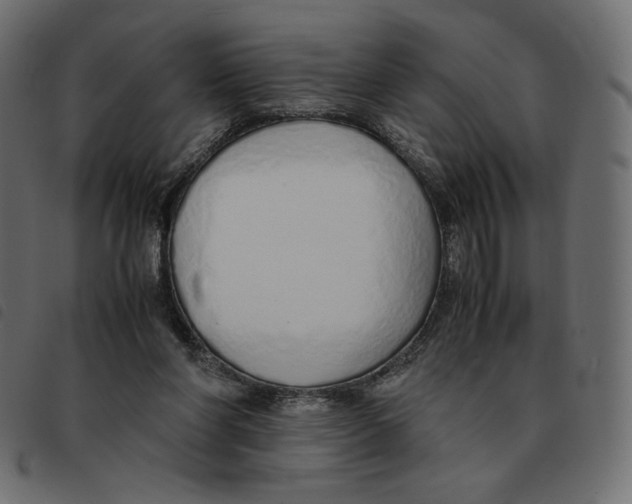X0000092330206200710121541