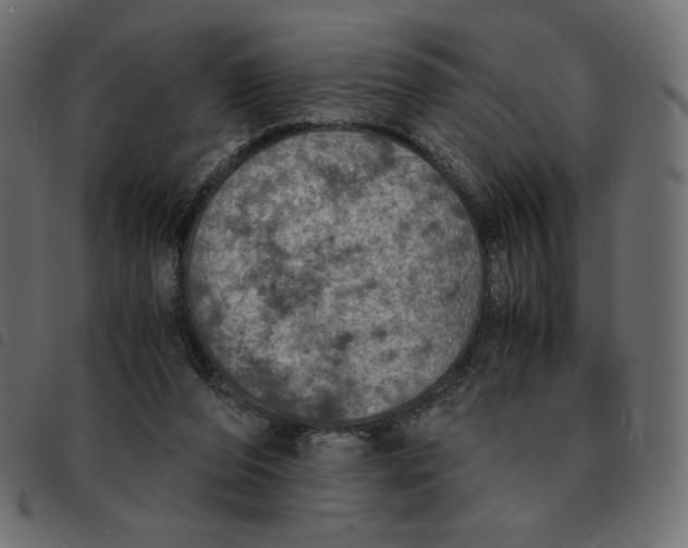 X0000092330208200710121541