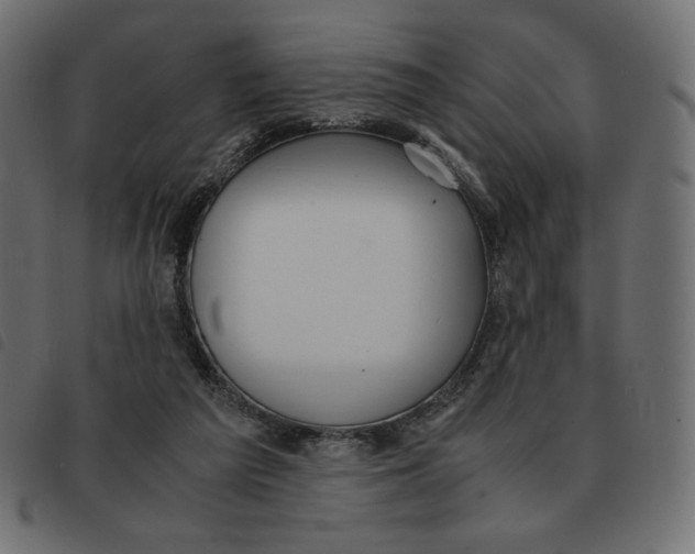X0000092330209200710121541