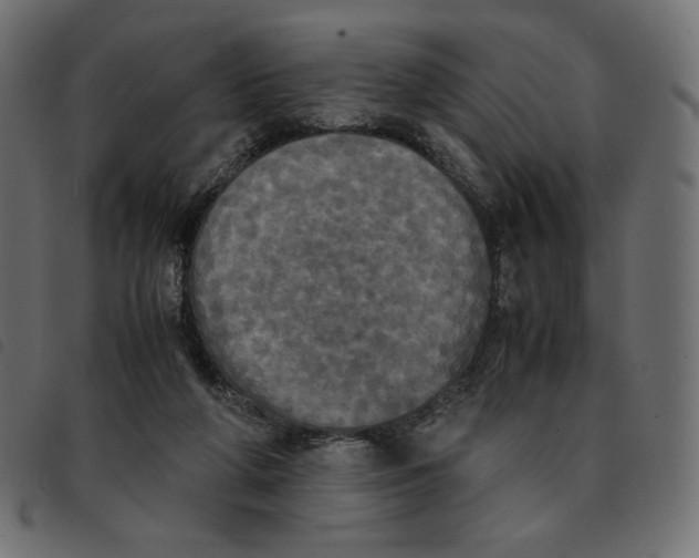 X0000092330210200710121541