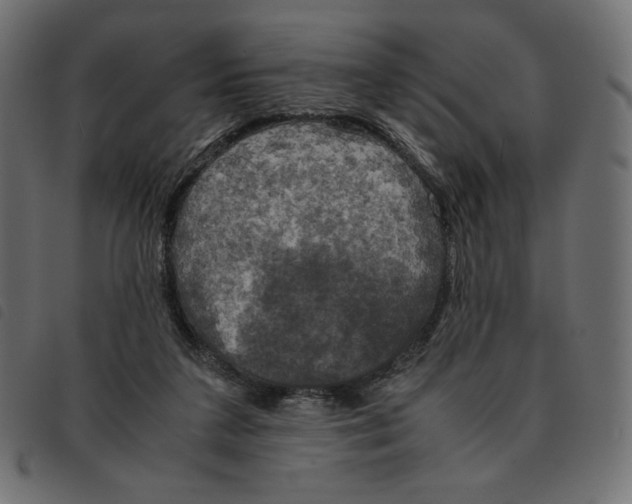 X0000092330211200710121541