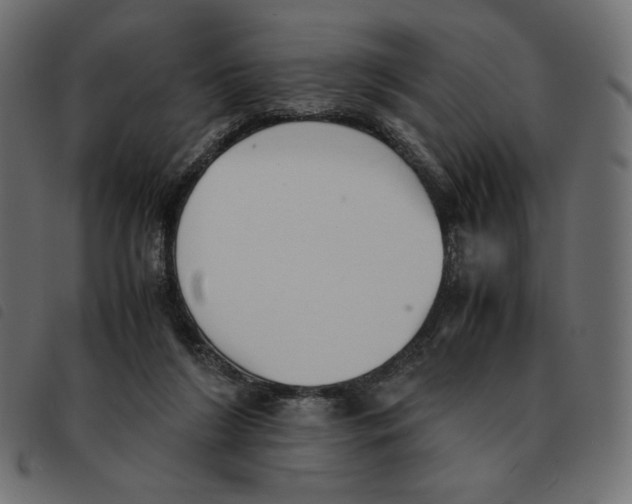 X0000092330212200710121541