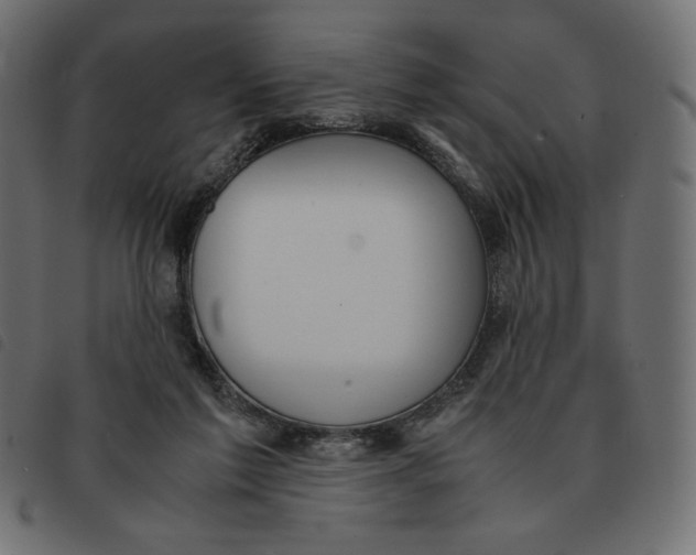 X0000092330213200710121541