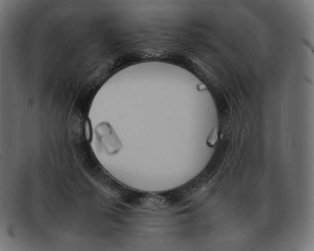 X0000092330215200710121541