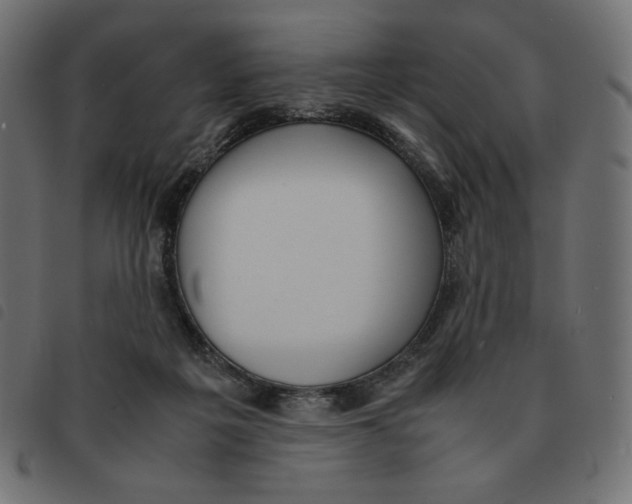 X0000092330217200710121541
