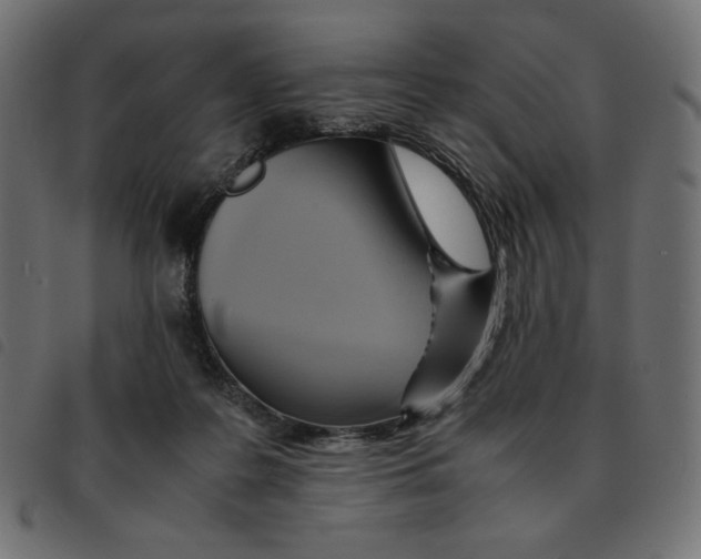 X0000092330219200710121541