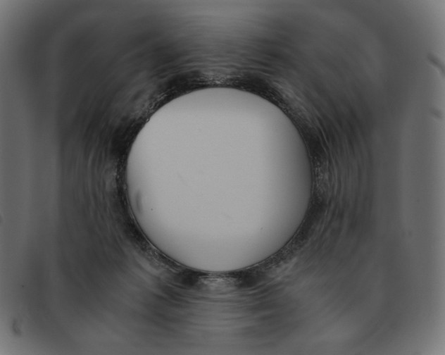 X0000092330221200710121540