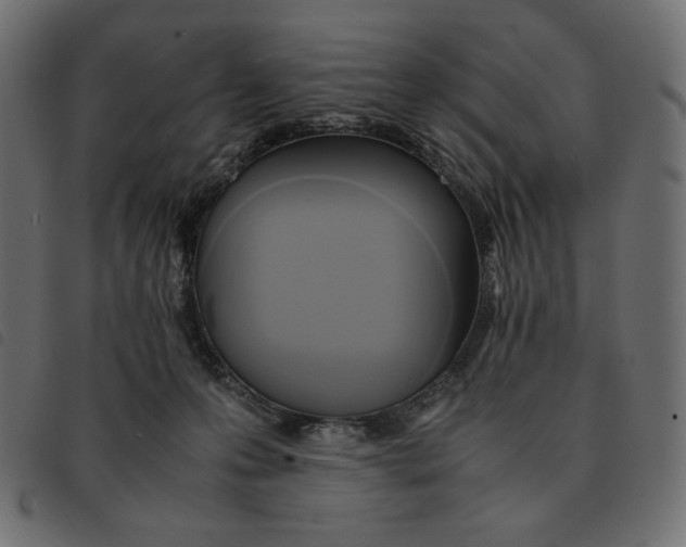 X0000092330223200710121540