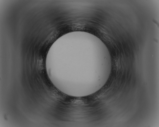 X0000092330224200710121540