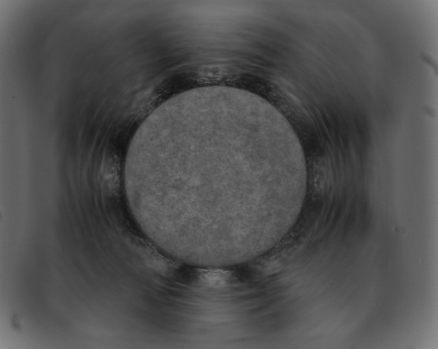 X0000092330226200710121540