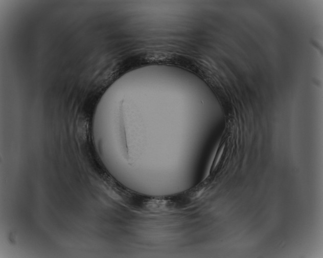 X0000092330227200710121540