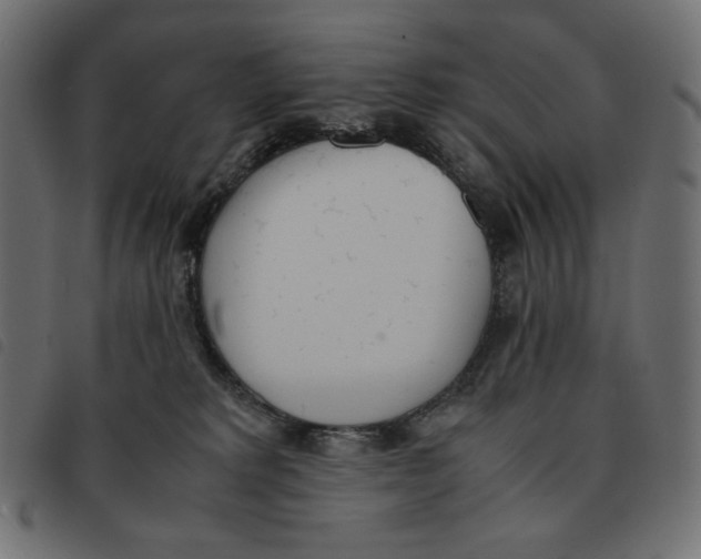 X0000092330229200710121540